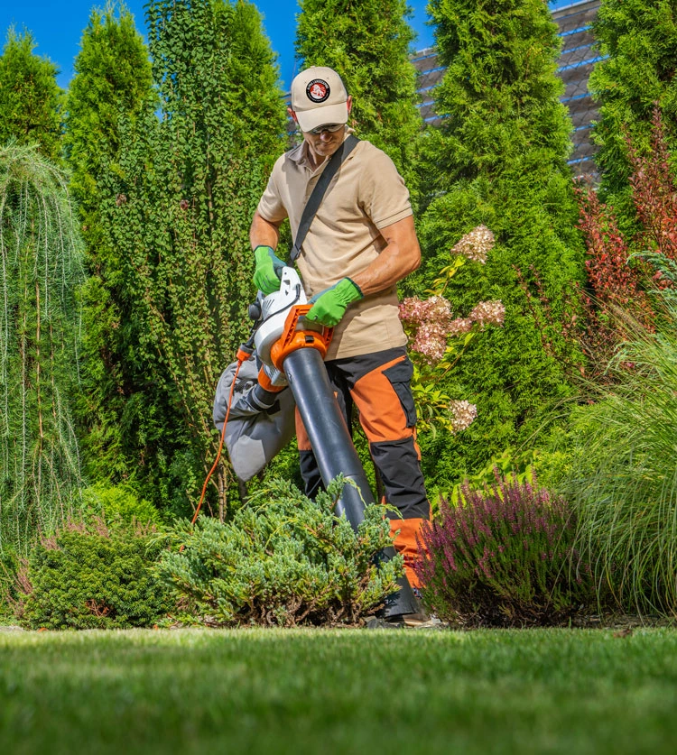 Alpha Landscaping LLC landscaper in Davenport FL