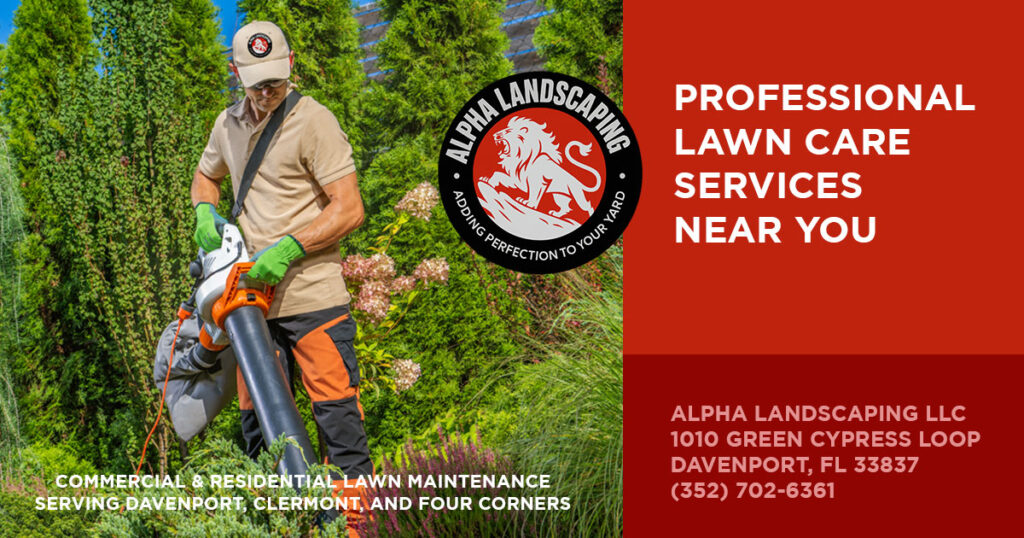 Professional Lawn Care Services Near You - Alpha Landscaping LLC