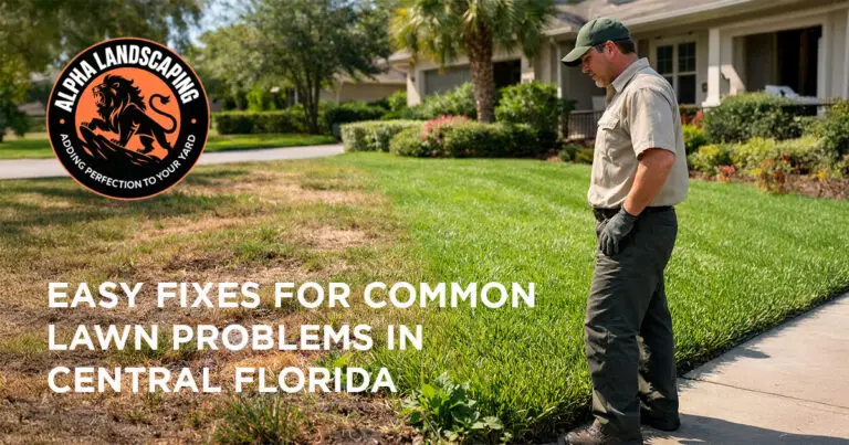 Easy fixes for common lawn problems in Central Florida