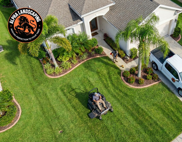 overhead photo of Residential lawn in Central Florida with freshly mowed grass and clean edging