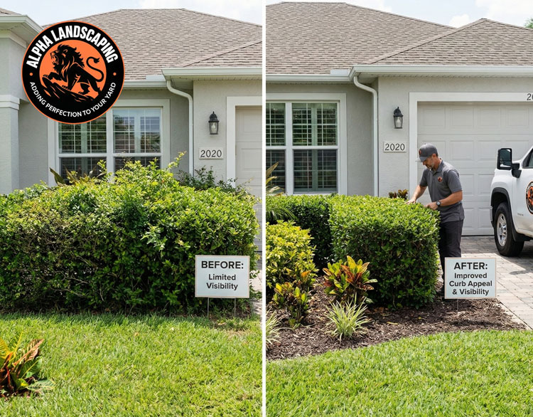 Bush Trimming & Shrub Pruning Services | Alpha Landscaping LLC