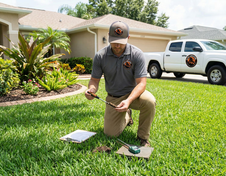 Why Your Lawn Deserves Professional Lawn care form Alpha Landscaping LLC
