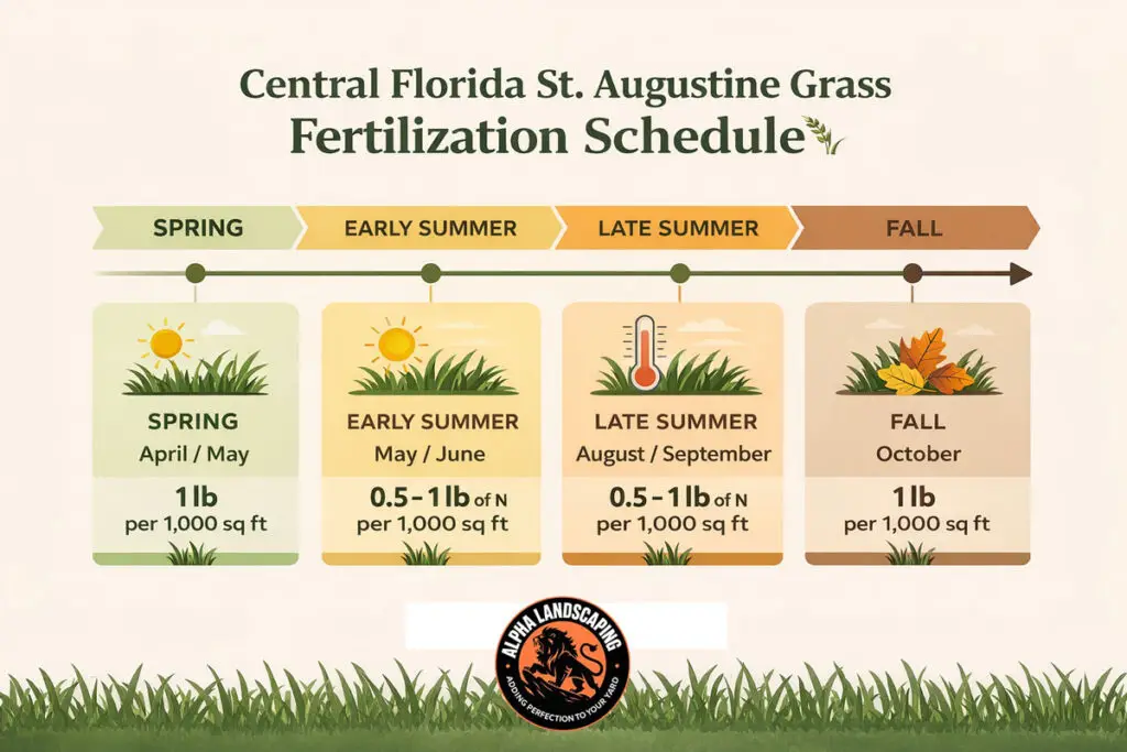 Infographic of The 4 Key Fertilization Windows for Central Florida St Augustine Grass care