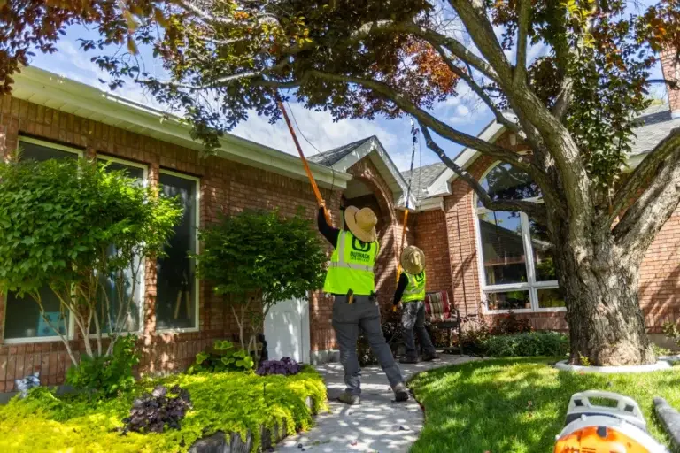 residential maintenance tree trimming prune crew team lawn